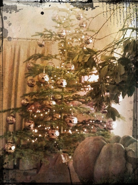 Albero di Naatale / Christmas Tree 